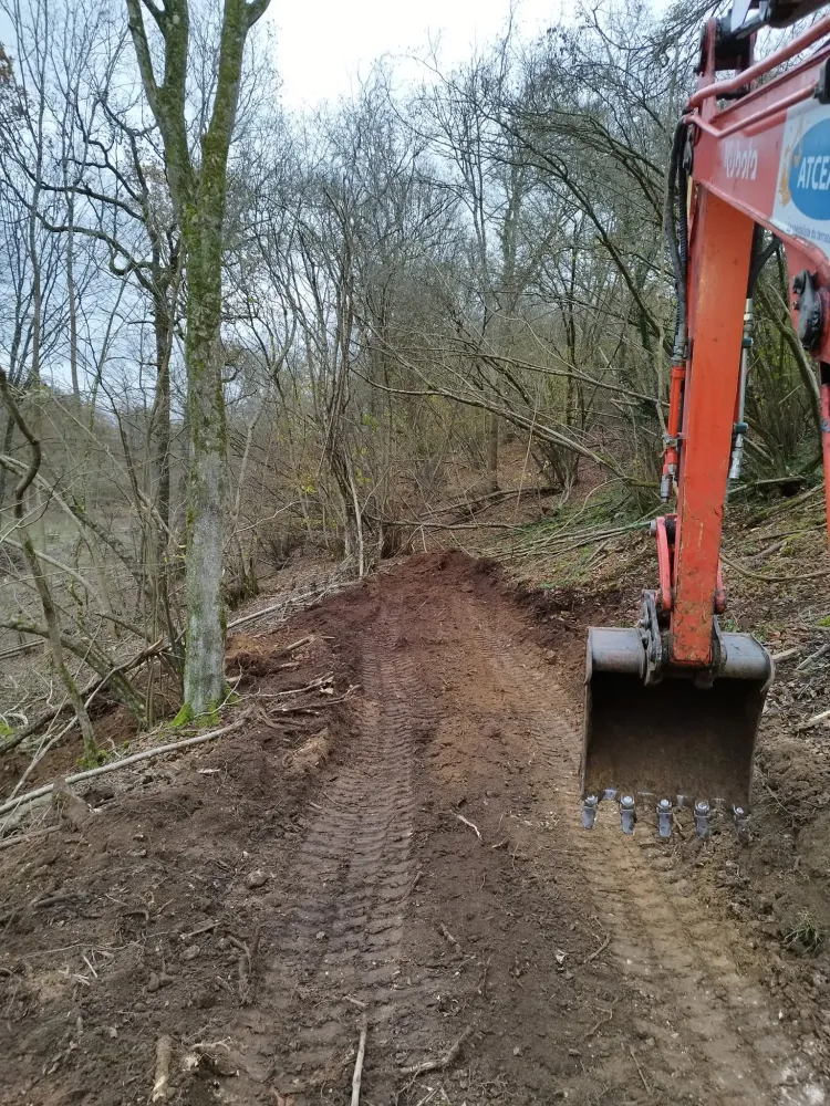 travaux forestiers (3)